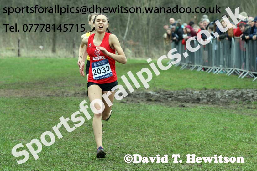 Womens under-17s Inter Counties Cross Country, Prestwold Hall, Loughborough. Photo: David T. Hewitson/Sports for All Pics